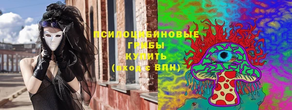 бошки Алексин
