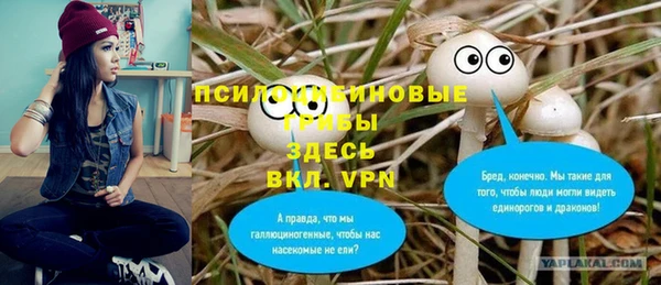 круглые Алзамай