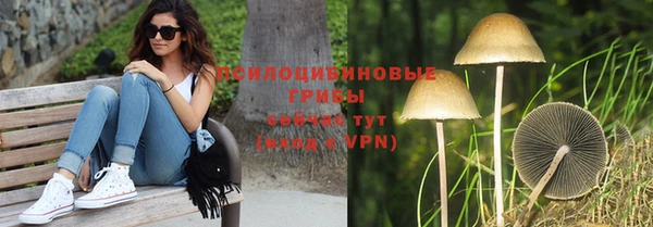 круглые Алзамай