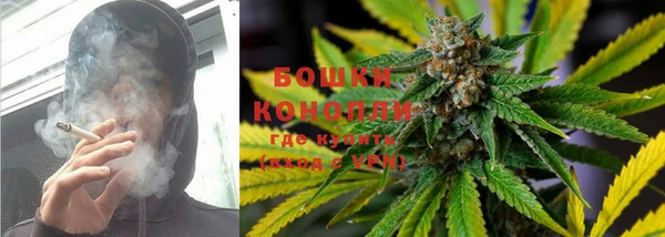 бошки Алексин