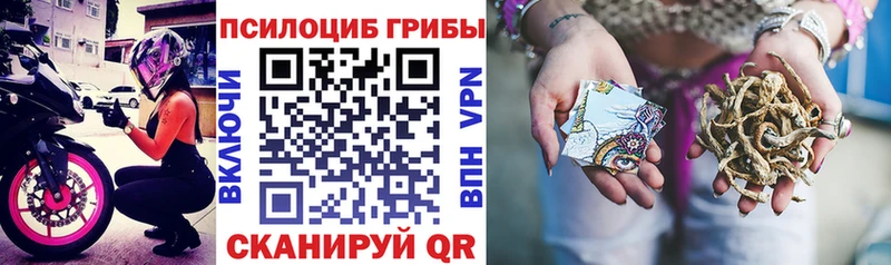 нарко площадка какой сайт  Чадан  Галлюциногенные грибы Cubensis  цены  